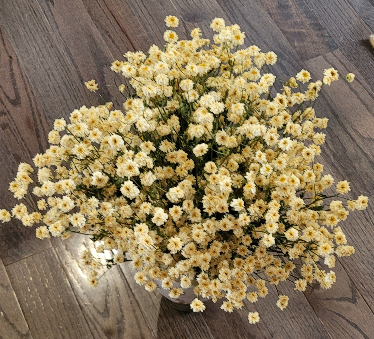 Dried Flowers in a ceramic vase